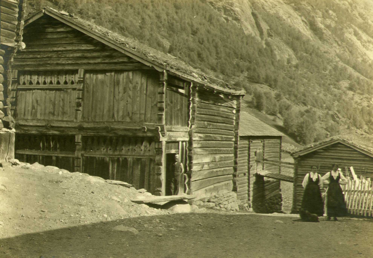 Stall, Sulheim, Bøverdalen, Lom, Oppland. To kvinner og ...