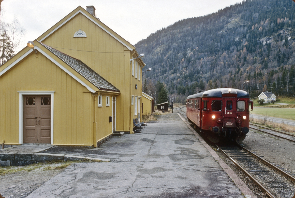 Persontog Kongsberg - Rødberg på Norefjord stasjon. NSB dieselmotorvogn ...